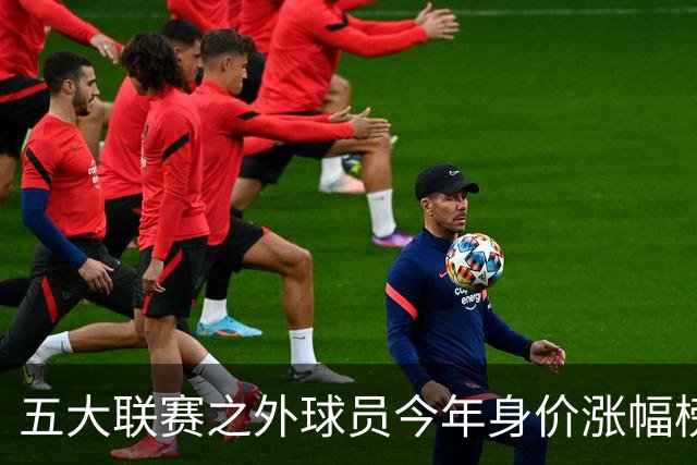 五大联赛之外球员今年身价涨幅榜：普雷斯蒂安尼、谢尔德鲁普前二