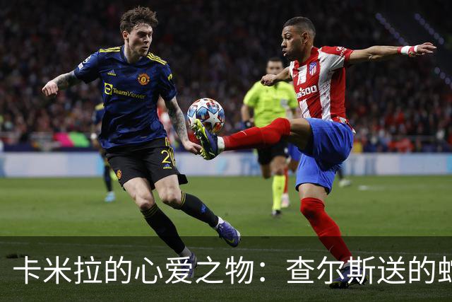 卡米拉的心爱之物：查尔斯送的蛇形项链，戴了20多年和她绝配