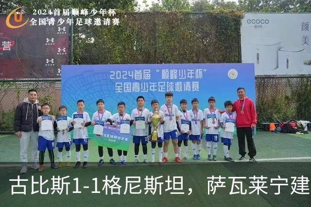 古比斯1-1格尼斯坦，萨瓦莱宁建功