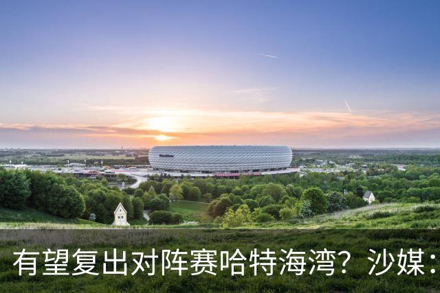 有望复出对阵赛哈特海湾？沙媒：托尼重新参加球队训练