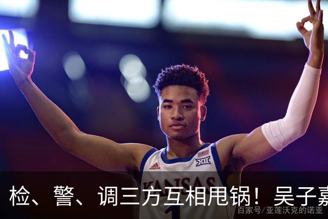 检、警、调三方互相甩锅！吴子嘉上演反击教科书，郑丽文可以效仿