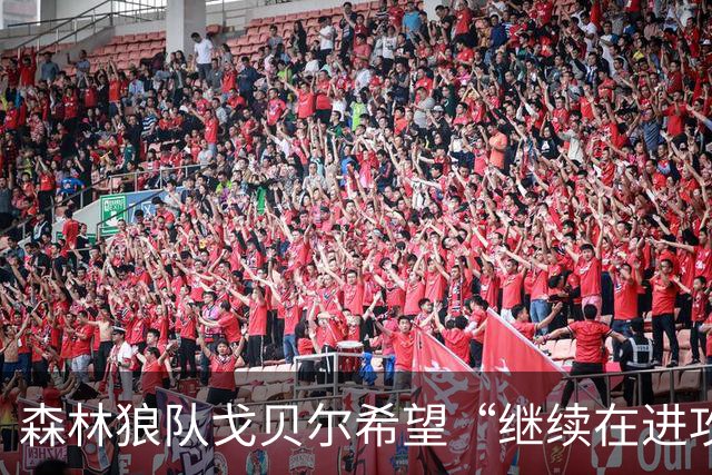 森林狼队戈贝尔希望“继续在进攻端统治比赛”，但会以自己的方式