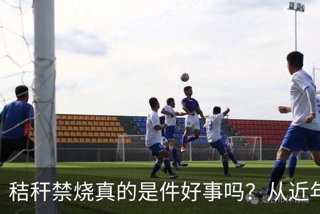 秸秆禁烧真的是件好事吗？从近年蚯蚓鸟类和蛇类数量就能看出来
