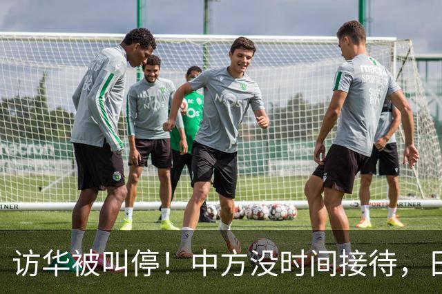 访华被叫停！中方没时间接待，日本重新安排行程，石破茂一语点破