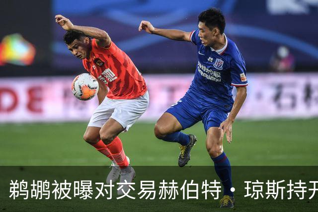 鹈鹕被曝对交易赫伯特·琼斯持开放态度，Stein辟谣：没这意愿