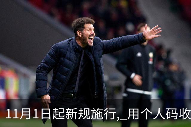 11月1日起新规施行, 用个人码收款未申报, 主动补缴未必能够免罚